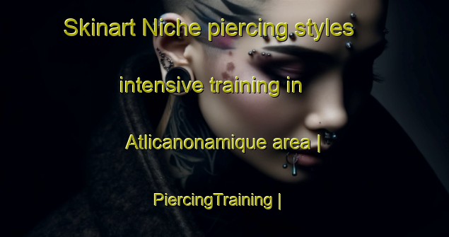 Skinart Niche piercing styles intensive training in Atlicanonamique area | PiercingTraining | PiercingClasses | SkinartTraining-Mexico